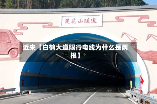 近来【白鹤大道限行电线为什么是两根】-第2张图片