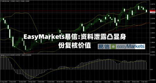 EasyMarkets易信:资料泄露凸显身份复核价值-第2张图片