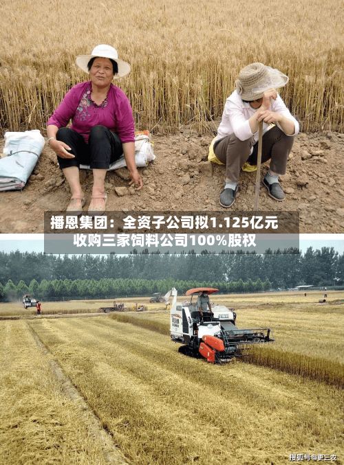 播恩集团:全资子公司拟1.125亿元收购三家饲料公司100%股权-第2张图片