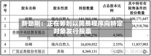 新劲刚:正在筹划以简易程序向特定对象发行股票-第2张图片