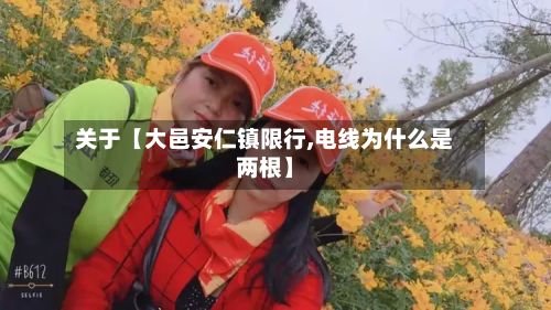 关于【大邑安仁镇限行,电线为什么是两根】-第2张图片