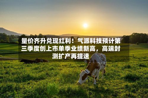 量价齐升兑现红利！气派科技预计第三季度创上市单季业绩新高	，高端封测扩产再提速-第2张图片