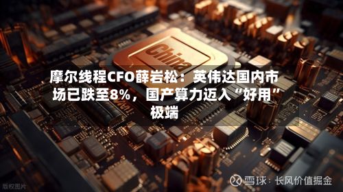 摩尔线程CFO薛岩松：英伟达国内市场已跌至8%	，国产算力迈入“好用”极端-第2张图片
