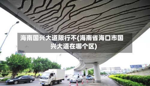 海南国兴大道限行不(海南省海口市国兴大道在哪个区)-第2张图片