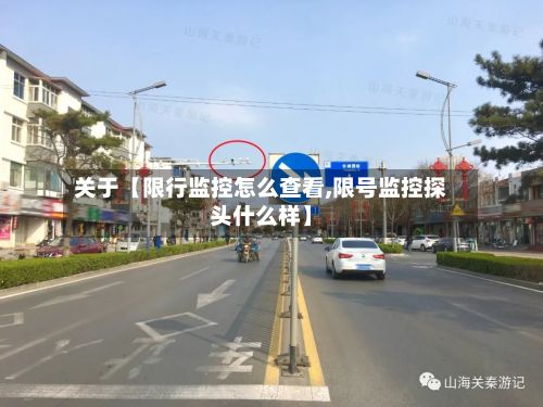 关于【限行监控怎么查看,限号监控探头什么样】-第2张图片