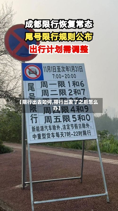 【限行出去如何,限行出发了之后怎么办】-第2张图片