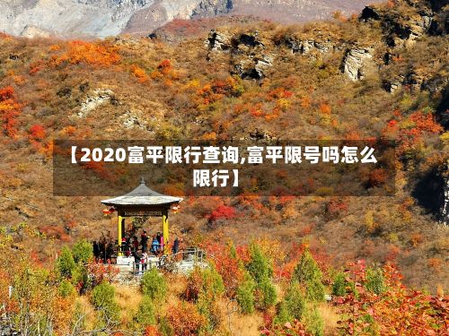【2020富平限行查询,富平限号吗怎么限行】