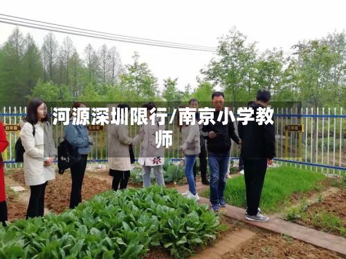 河源深圳限行/南京小学教师-第2张图片