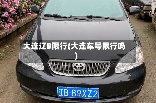 大连辽B限行(大连车号限行吗)