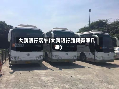 大鹏限行端午(大鹏限行路段有哪几条)-第3张图片