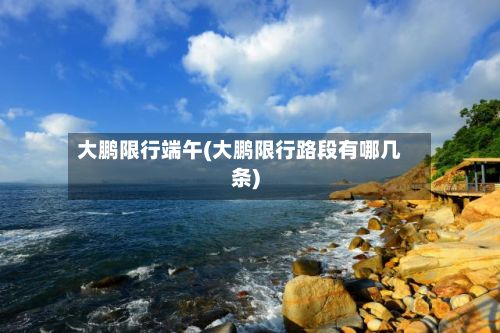 大鹏限行端午(大鹏限行路段有哪几条)-第2张图片