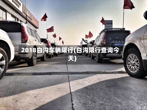 2018白沟车辆限行(白沟限行查询今天)-第3张图片