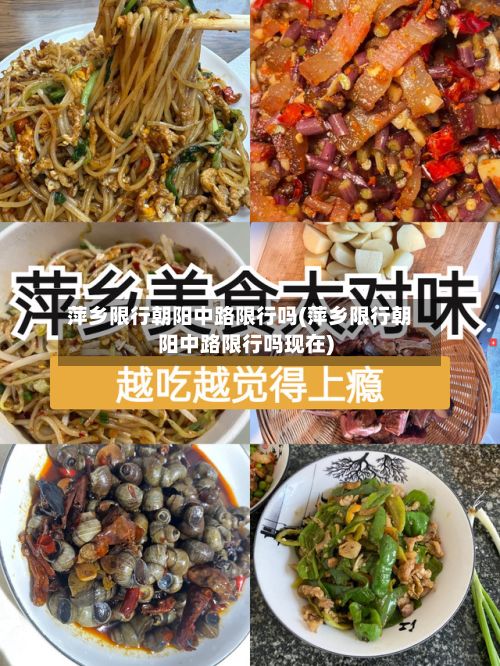 萍乡限行朝阳中路限行吗(萍乡限行朝阳中路限行吗现在)-第2张图片