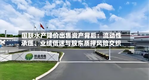 国联水产降价出售资产背后：流动性承压、业绩低迷与股东质押风险交织-第3张图片