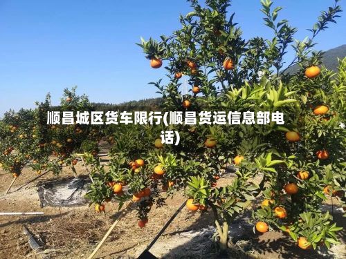 顺昌城区货车限行(顺昌货运信息部电话)-第3张图片