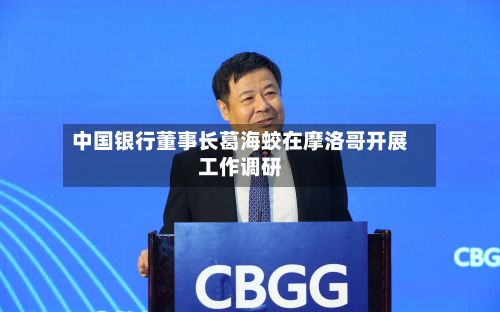 中国银行董事长葛海蛟在摩洛哥开展工作调研-第2张图片