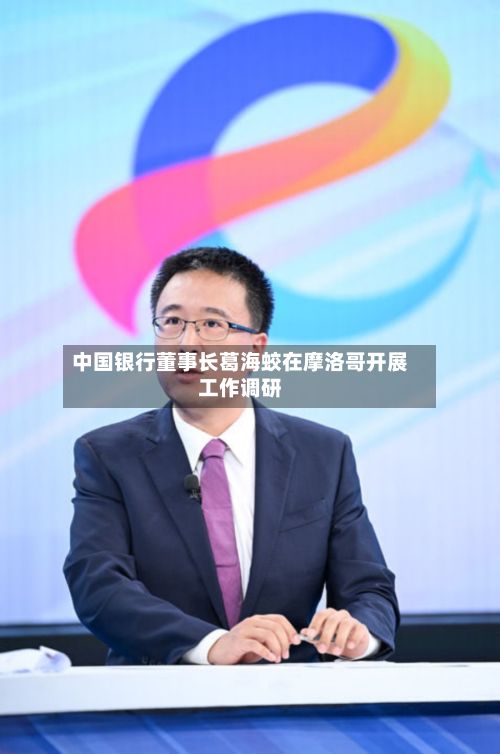 中国银行董事长葛海蛟在摩洛哥开展工作调研