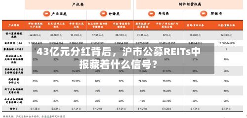 43亿元分红背后，沪市公募REITs中报藏着什么信号？-第2张图片