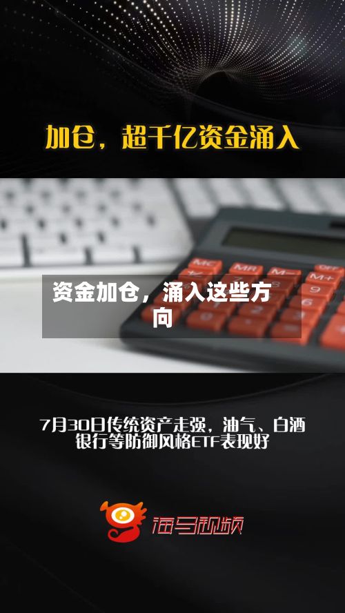 资金加仓，涌入这些方向
