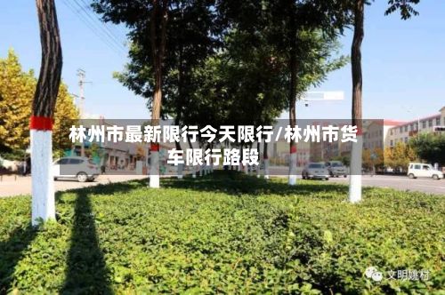 林州市最新限行今天限行/林州市货车限行路段