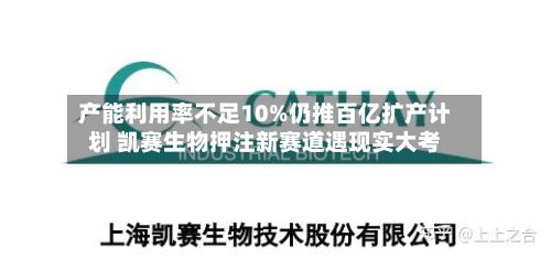 产能利用率不足10%仍推百亿扩产计划 凯赛生物押注新赛道遇现实大考