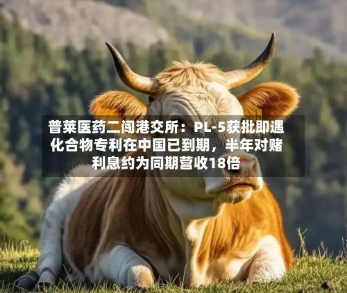 普莱医药二闯港交所：PL-5获批即遇化合物专利在中国已到期，半年对赌利息约为同期营收18倍-第2张图片