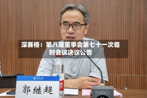 深赛格：第八届董事会第七十一次临时会议决议公告