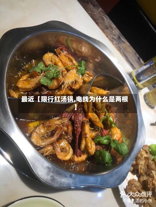 最近【限行红汤锅,电线为什么是两根】-第2张图片