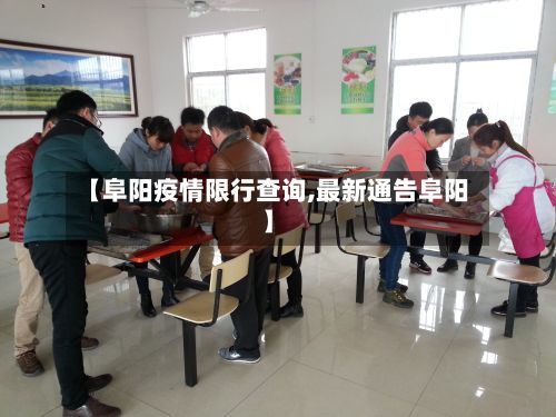 【阜阳疫情限行查询,最新通告阜阳】-第2张图片