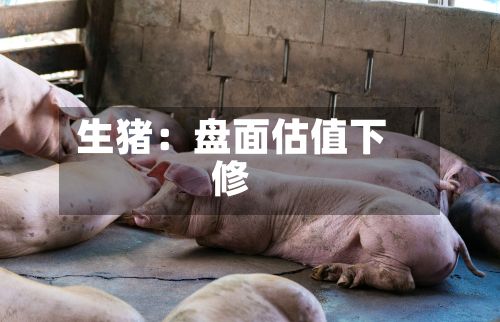 生猪：盘面估值下修-第2张图片