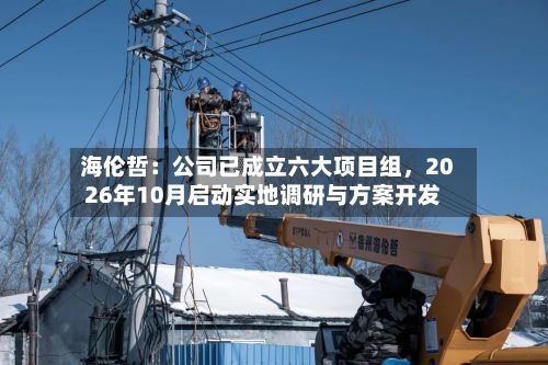 海伦哲:公司已成立六大项目组,2026年10月启动实地调研与方案开发
