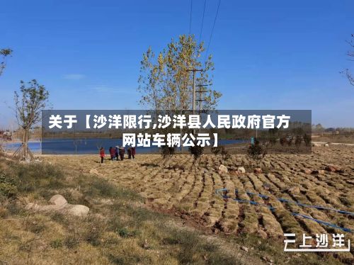 关于【沙洋限行,沙洋县人民政府官方网站车辆公示】-第3张图片