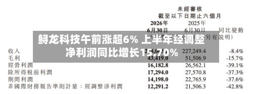 鲟龙科技午前涨超6% 上半年经调整净利润同比增长15.70%-第2张图片