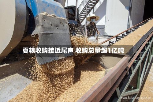 夏粮收购接近尾声 收购总量超1亿吨