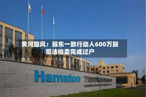 黄河旋风:股东一致行动人600万股司法拍卖完成过户