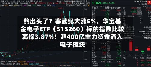 熬出头了？寒武纪大涨5%，华宝基金电子ETF（515260）标的指数比较高上探3.87%！超400亿主力资金涌入电子板块