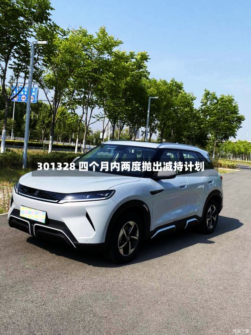 301328 四个月内两度抛出减持计划-第3张图片