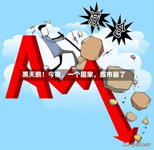 黑天鹅！今夜，一个国家，股市崩了-第2张图片