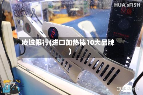 凌城限行(进口加热棒10大品牌)