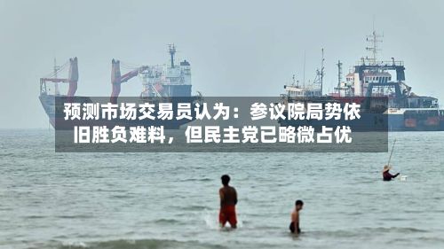 预测市场交易员认为：参议院局势依旧胜负难料，但民主党已略微占优