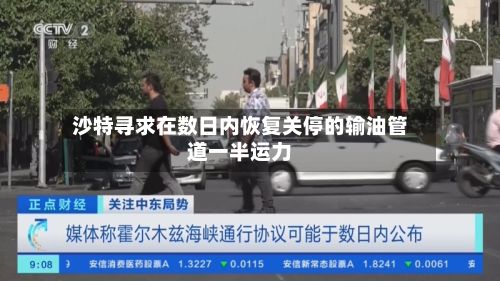 沙特寻求在数日内恢复关停的输油管道一半运力-第2张图片