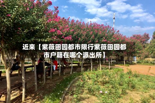 近来【紫薇田园都市限行紫薇田园都市户籍在哪个派出所】