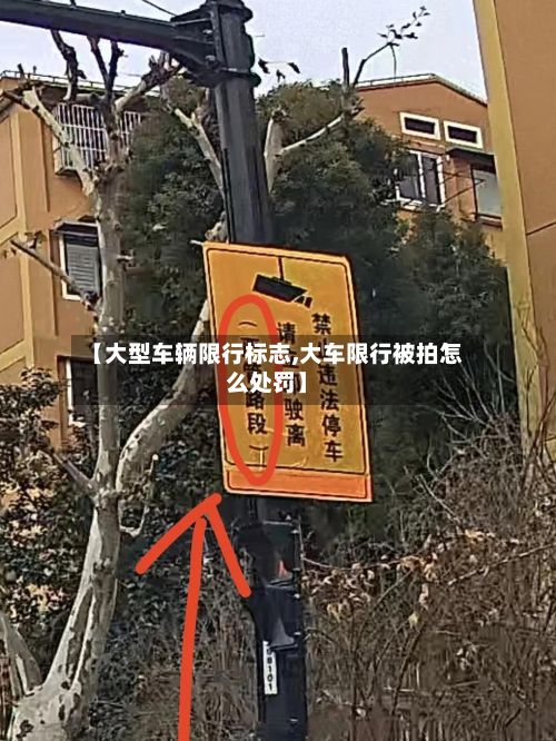 【大型车辆限行标志,大车限行被拍怎么处罚】-第3张图片