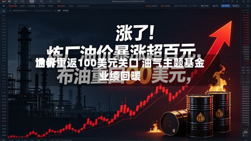世界油价重返100美元关口 油气主题基金业绩回暖-第2张图片