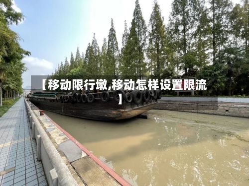 【移动限行墩,移动怎样设置限流】-第2张图片