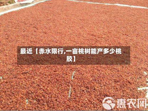 最近【赤水限行,一亩桃树能产多少桃胶】-第2张图片