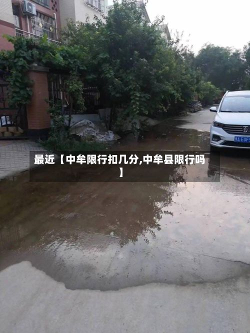 最近【中牟限行扣几分,中牟县限行吗】-第2张图片
