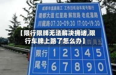 【限行限牌无法解决拥堵,限行车牌上路了怎么办】-第3张图片
