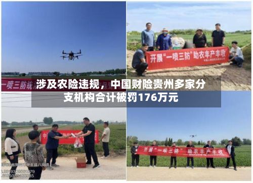涉及农险违规,中国财险贵州多家分支机构合计被罚176万元