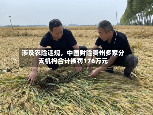 涉及农险违规，中国财险贵州多家分支机构合计被罚176万元-第2张图片